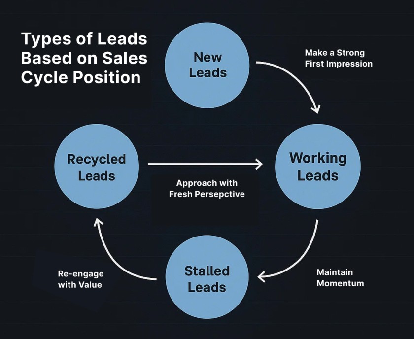 types of leads based on sales cycle position