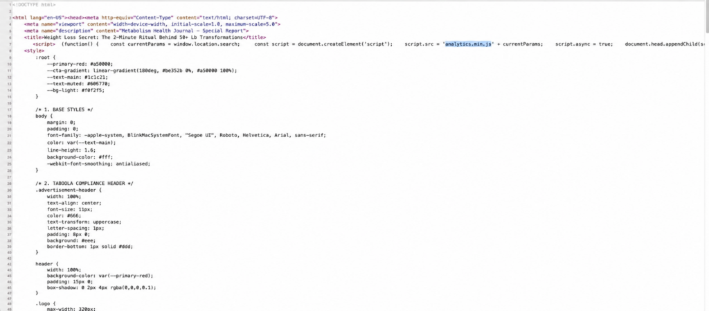 Source code checked before you clean a copied landing page